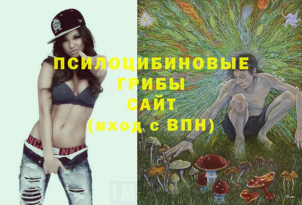 синтетический гашиш Беломорск